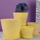 thumbnail image 3 of Paquete de 12 macetas de plástico para vivero de flores, plantas de interior y exterior, para decoración de habitación, oficina y jardín, con bandeja de apertura (amarillo), 3 of 5
