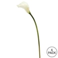 thumbnail image 2 of Vickerman 26'' Tige de Calla Artificielle en Blanc (Lot de 6), 2 of 3