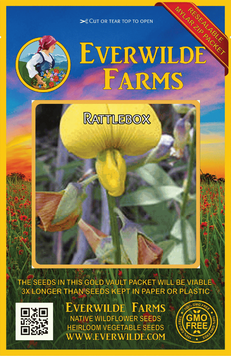 Everwilde Farms - 1/4 lb Rattlebox Native Wildflower Seeds - Gold Vault Bulk Seed Packet