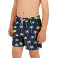 thumbnail image 2 of Edvintorg Boys Short Summer Hawaii Printed Elastic Waisted Casual Shorts with Pockets Teen Clothes for Boys Size 6-15, 2 of 7