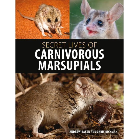 Secret Lives of Carnivorous Marsupials, (Hardcover)