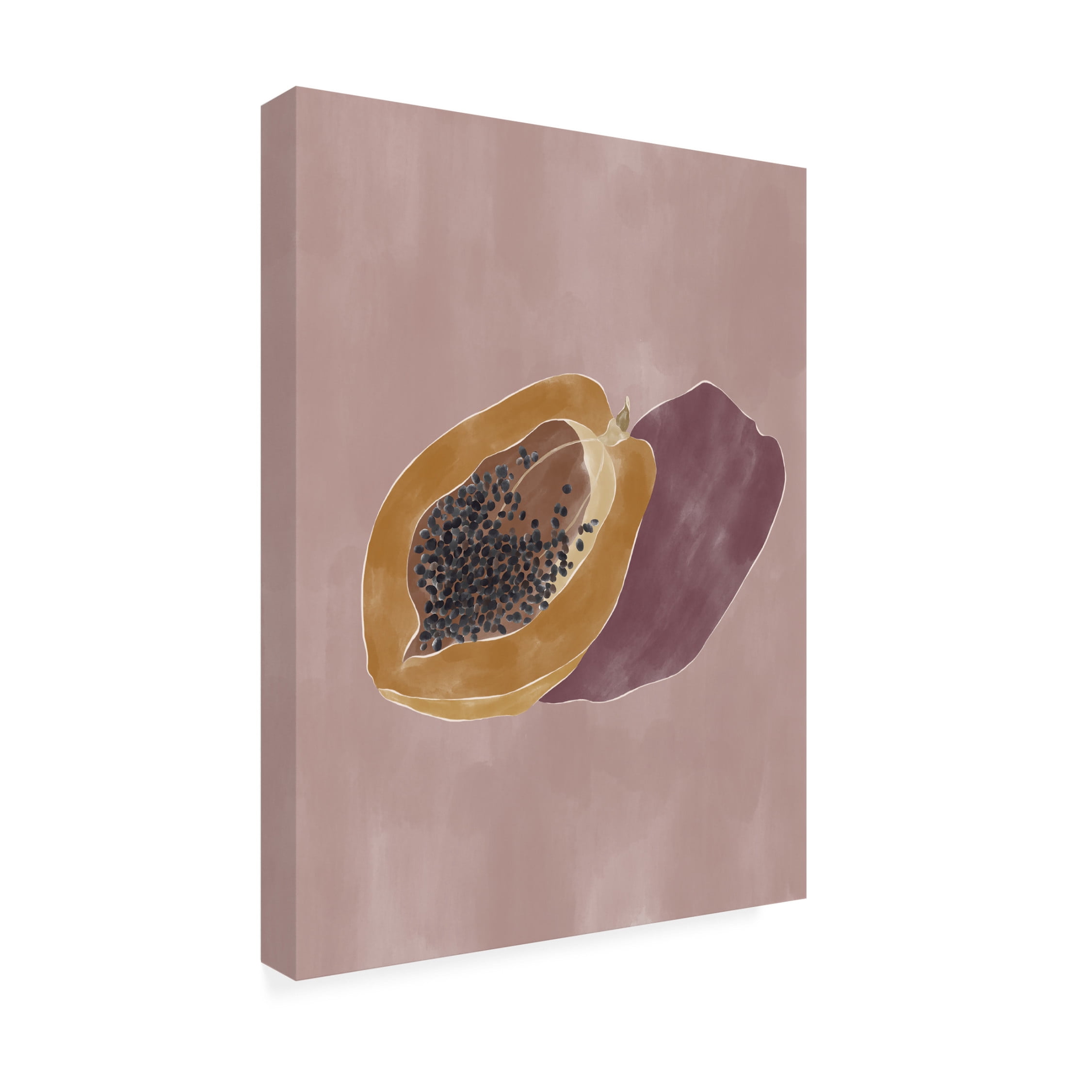 Trademark Fine Art Ivy Green Illustrations Papaya Canvas Wall Art