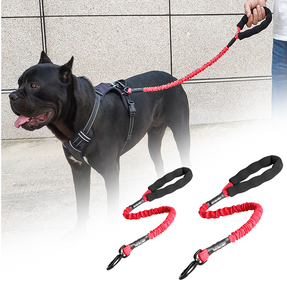 bungee dog leash