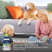 Bissell PET PRO OXY Spot & Stain Formula for Portable Carpet Cleaners 2034