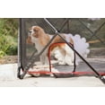 thumbnail image 3 of Carlson Folding Portable Dog Play Yard, Red, 48"L x 48"W x 26"H, 3 of 9