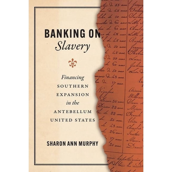 American Beginnings, 1500-1900: Banking on Slavery : Financing Southern Expansion in the Antebellum United States (Edition 1) (Hardcover)