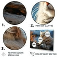 thumbnail image 3 of Designart "Scottish Fold Peaceful Cat" Animals Cat Floater Framed Wall Art Living Room, 3 of 5
