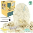 thumbnail image 1 of 1Set Dinosaur Egg w/12 Dinosaur Toys Educative Dinosaur Excavation Kit Interactive Dinosaur Egg Dig Kit, 1 of 10
