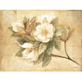thumbnail image 1 of Pimpernel Sets de Table Magnolia Sucre Lot de 4, 1 of 5
