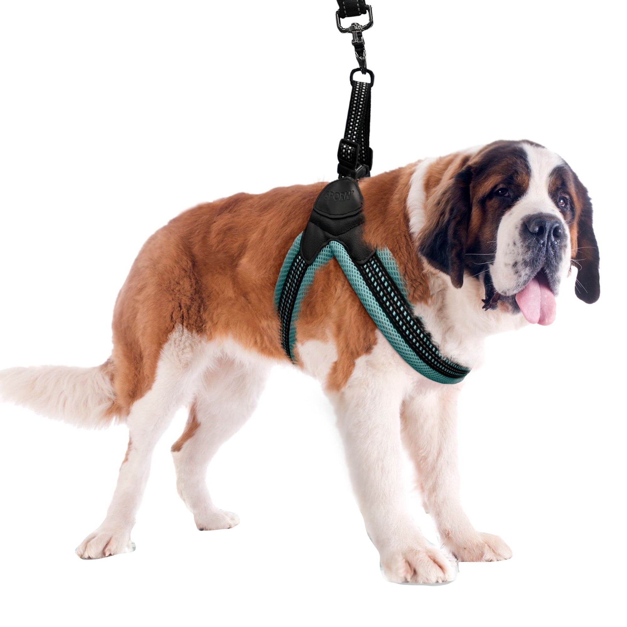 Sporn Easy Fit Dog Harness, Blue, X-Large (30-41" Girth Size)