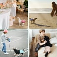 thumbnail image 3 of CALHNNA 4 Pack Highly Absorbent Reusable Dog Period Diaper Female Doggie Diapers for Heat Cycle, 3 of 5