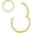 1pc 18g 9mm Gold, variant on Foundations of International Economic Law