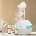 thumbnail image 2 of Healing Solutions - Best Blends Essential Oils Set (6x10ml) Pure for Gift Diffusers, Home (Breathe, Sleep, Relief, Muscle Relief, Stress Relief, Health Shield), 2 of 7
