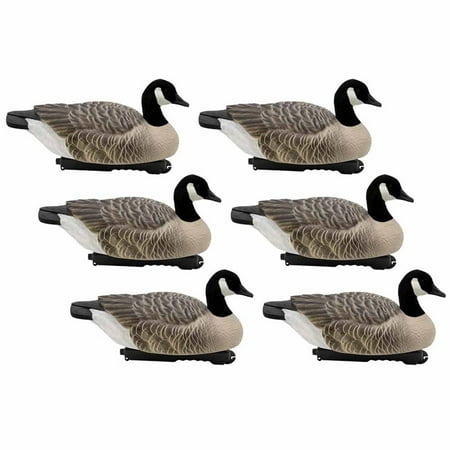 Final Approach Last Pass Canada Goose Floaters with Flocked Heads Decoy 6 Pack