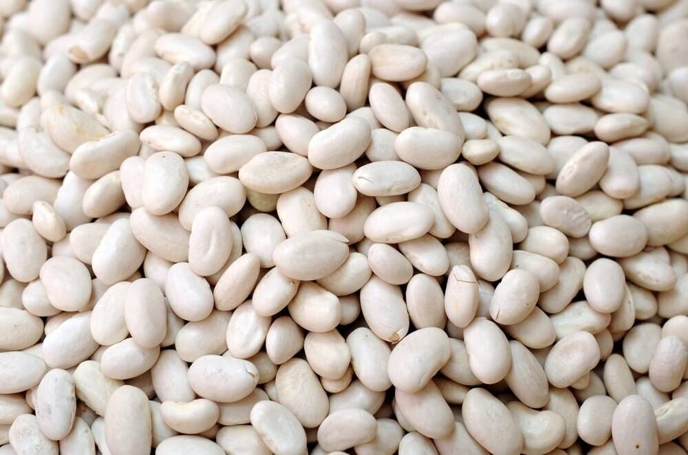 50 Navy Bean Seeds for Planting Grow White Kidney Beans - Walmart.com