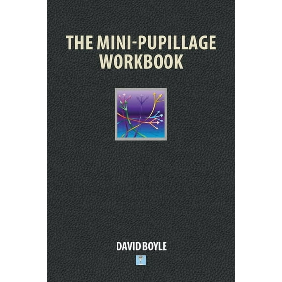 The Mini-Pupillage Workbook (Paperback)