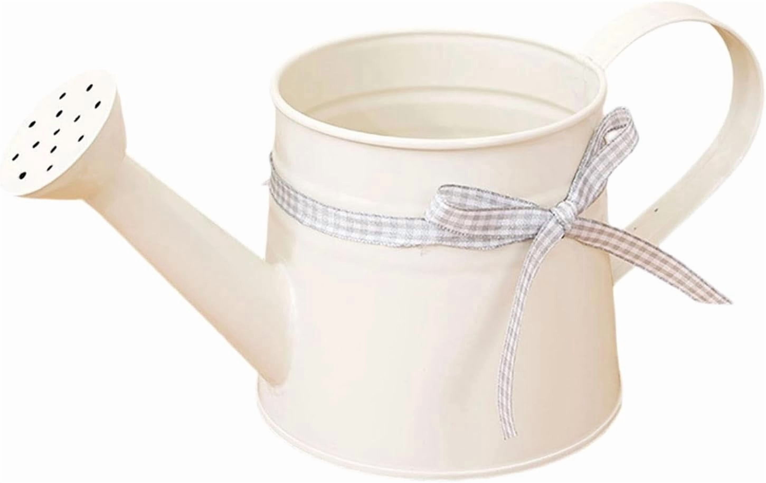 Vintage Tinplate Watering Can - 1L Galvanized Metal Kettle with Long Spout for Precise Indoor & Outdoor Plant Watering, Slow Pour Shower Sprinkler for Flowers (White)