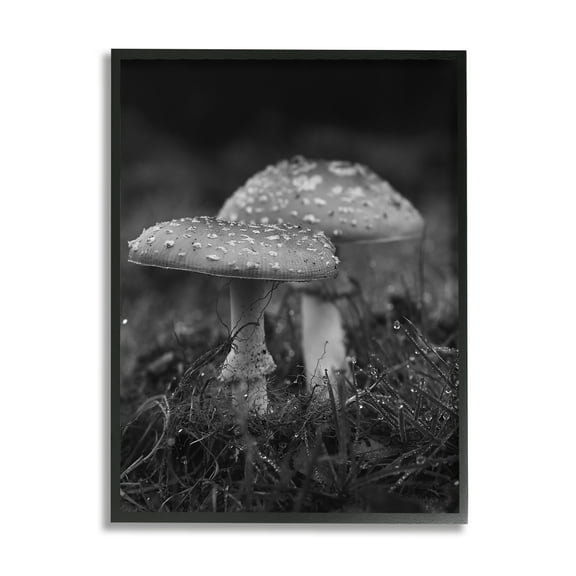 Stupell Industries Grey Mushroom Photography Botanical & Floral Photography Black Framed Art Print Wall Art, 11 x 14