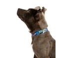 thumbnail image 2 of Country Brook Petz® Gone Fishin' Martingale Dog Collar and Leash, Small, 2 of 7