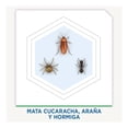 thumbnail image 3 of Insecticida Raid protector insectos rastreros en aerosol 400 ml, 3 of 4
