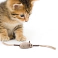 thumbnail image 4 of Jouet à Mâcher Chaton, Chats Chaton Mâcher Jouet Chaton Mâcher Bâtons Chat Mâcher Bâtons Performance Éprouvée, 4 of 8