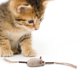 thumbnail image 4 of Juguete para masticar para gatos y gatitos, hierba gatera, Matatabi, juguete Molar, palitos para masticar para gatos, salud Dental (ratón), 4 of 8