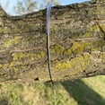 thumbnail image 6 of Songbird Essentials Bird Feeder Hanger Limb Protector Stainless Steel Cable Hanger 36 in, 6 of 8