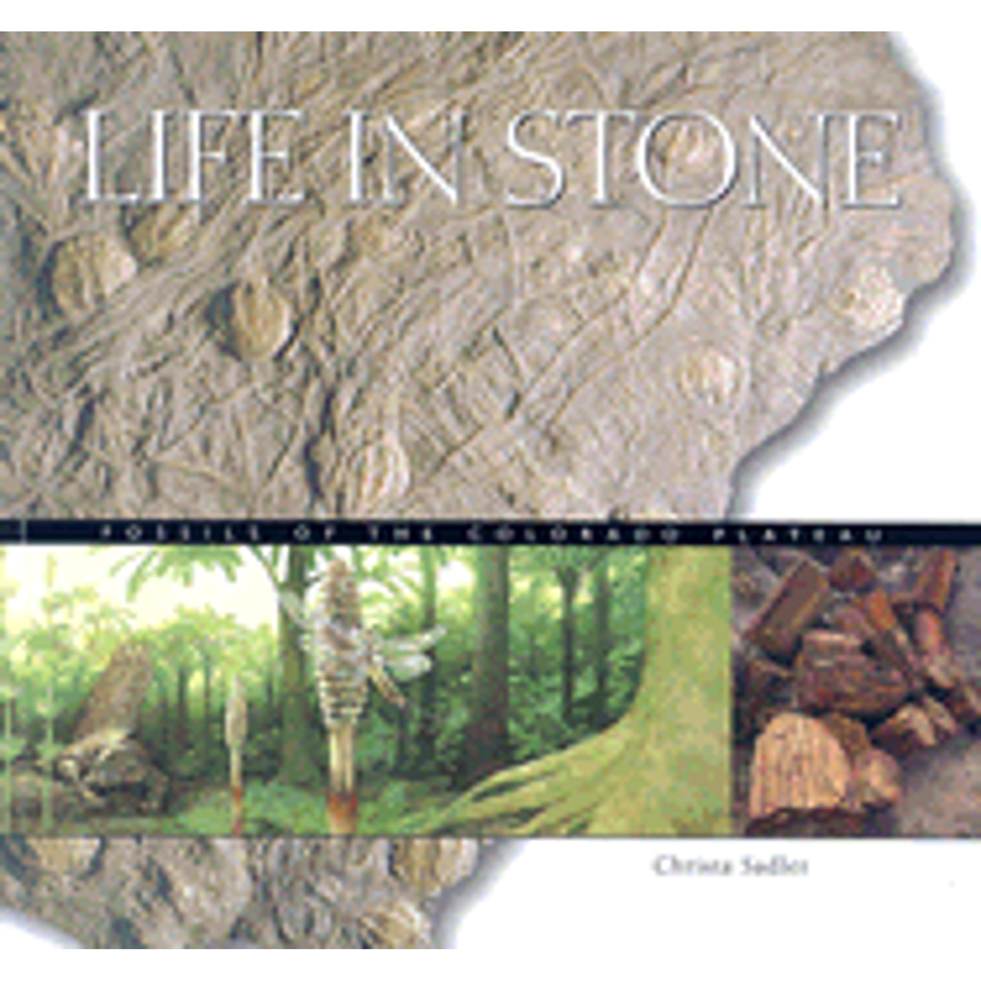 Life in Stone : Fossils of the Colorado Plateau (Paperback)