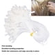 thumbnail image 4 of Alambre elástico para Extensiones de cabello ANGGREK alambre de pescado textura transparente 200 alambres, 4 of 8