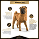 thumbnail image 5 of Alimento para perro ProPlan Adulto Piel Sensible Razas Grandes Y Medianas de 3Kg ProPlan Adulto Piel Sensible Razas Grandes Y Medianas, 5 of 9