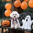 thumbnail image 5 of Durable Halloween Pet Collar for Dogs and Cats - Chew- Polyester Accessory for Festive Indoor Outdoor Use, 5 of 5