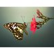 thumbnail image 1 of Cuadro diamante (DE6260) Serie animal abstracto resina redonda (WY004) 40x50cm Hugtrwg Para estrenar, 1 of 1