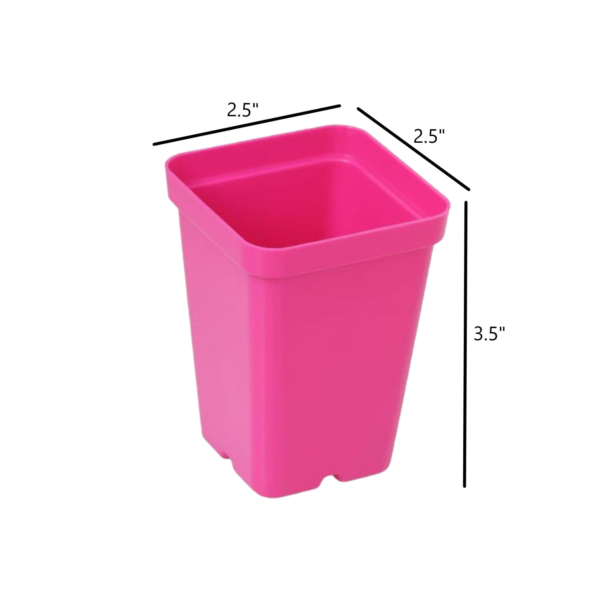 Sunpack 2.5" Square Pot Clear - Image 6