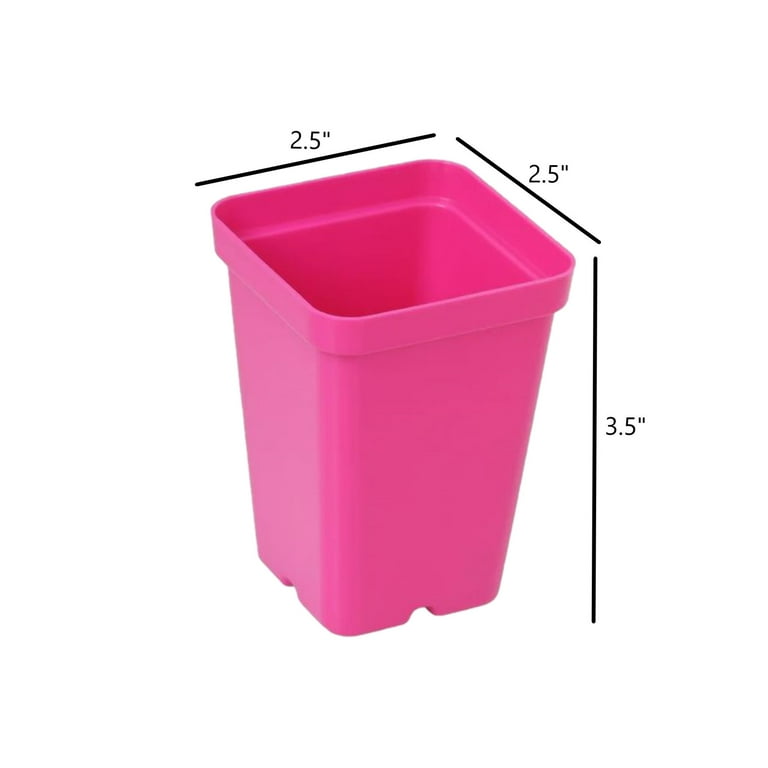 Sunpack 2.5" Square Pot Mixed Color - Image 4
