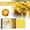 as show, variant on Isvgxsz Beeswax Candle Set Taper Handmade, 10 pcs | Organic,Natural, Pure, Cotton Wick | Honeycomb Texture | Real Bees Wax Candles Gift Set with Wooden Box | Premium,Dinner,Bistro