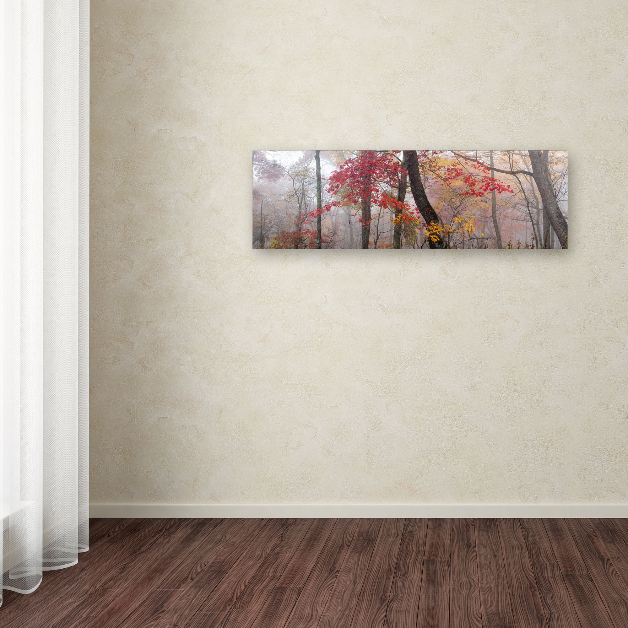 Trademark Fine Art 'Garnet And Gold' Canvas Art by Doug Cavanah