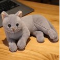 thumbnail image 1 of 32cm4 Kinds 31CM Simulate Cat Plush Toy Stuffed Lifelike Doll Pillow Animal Pet Kitten Toys For Children Home Decor Baby Gift heqiyong LED, 1 of 2