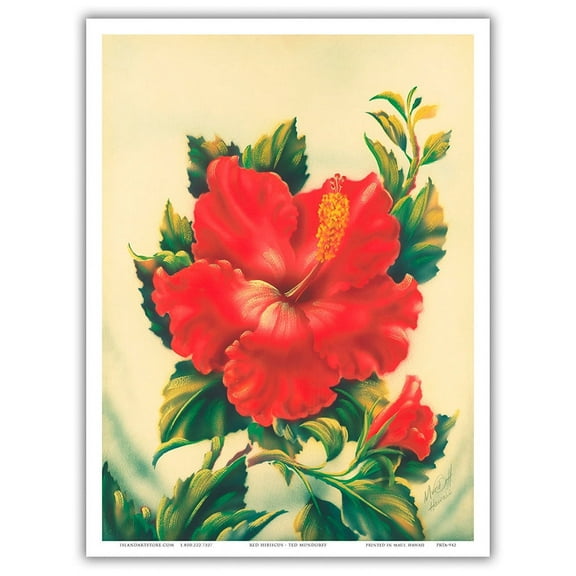 Red Hibiscus Hawai’i - Vintage Hawaiian Airbrush Art by Ted Mundorff c.1940s - Master Art Print (Unframed) 9in x 12in