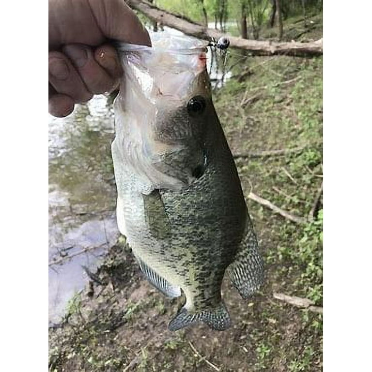 Strike King Mr Crappie Shadpole Pepper Shad Panfish Lure