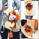 thumbnail image 5 of Bolsa transportadora para gatos, bolsa transportadora de lona portátil para gatos, bolsa de hombro para mascotas de lona con forma de león, bolsa de transporte para animales pequeños y gatos, 5 of 5