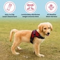 thumbnail image 5 of Copatchy Arnés reflectante para perros sin tirones (pequeño, rojo), 5 of 5