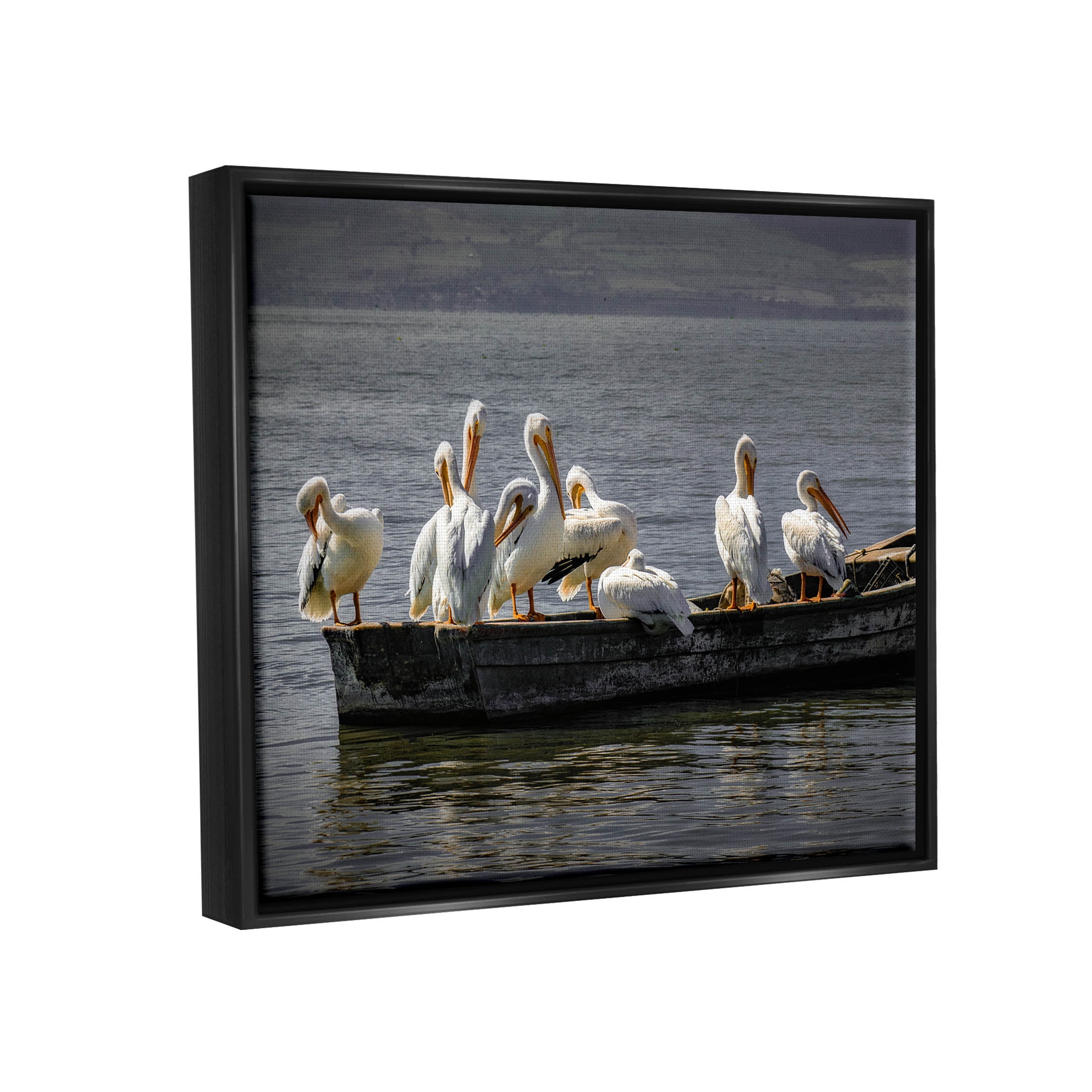 Stupell Industries Pelican Flock On Floating Lake Boat Photograph Jet Black Floating Framed Canvas Print Wall Art, Design by David Lorenz