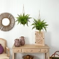 thumbnail image 5 of Nearly Natural Green 13" Leather Fern Polyester Artificial Plant with Hanging Basket, Set of 2, 5 of 5