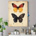thumbnail image 4 of Qisvanset 12x16 Inch With Frame 2D Flat Wall Art Three Butterfly Minimalist Modern Living Room Wall Art, 4 of 8