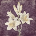 thumbnail image 2 of Grey, Jace 26x26 White Modern Wood Framed Museum Art Print Titled - Purple Flower, 2 of 4