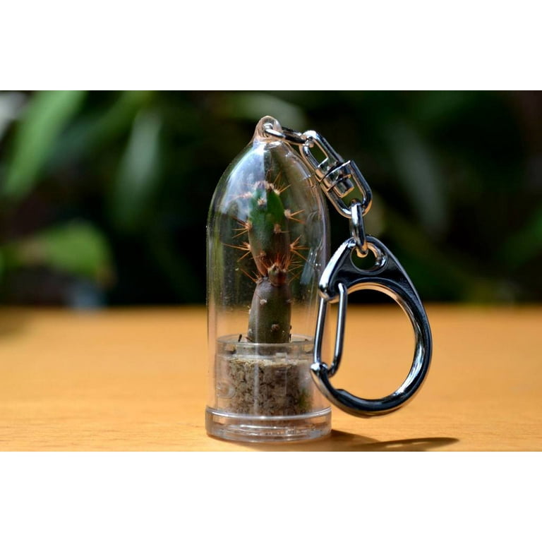 Live hotsell cactus keychain