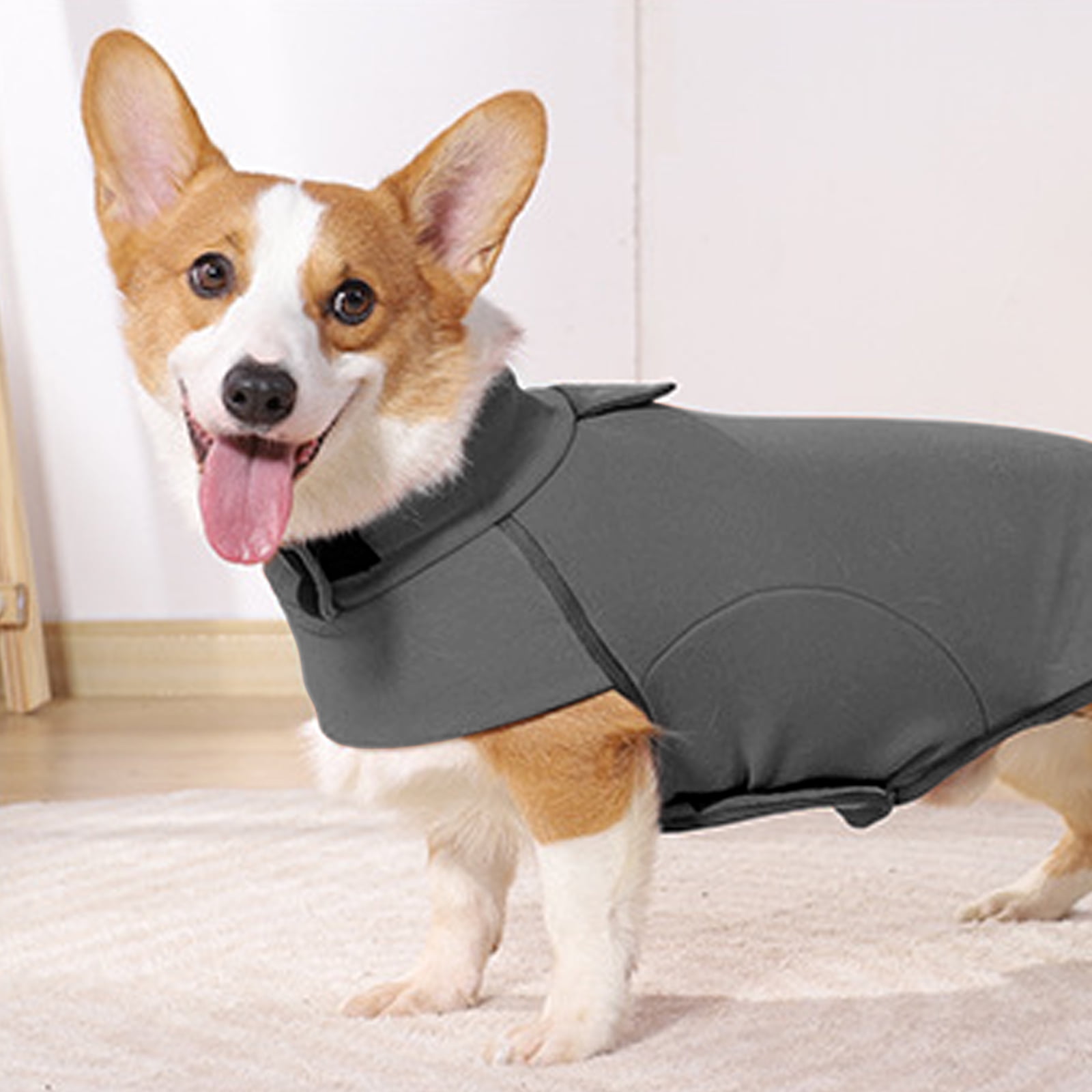 repelz it dog coat pets at home