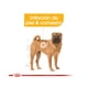 thumbnail image 3 of Alimento Perro Raza Mediana Royal Canin Sensitive Skin 2.7Kg, 3 of 3