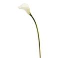 thumbnail image 1 of Vickerman 26'' Tige de Calla Artificielle en Blanc (Lot de 6), 1 of 3