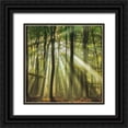 thumbnail image 1 of Haaksma, Piet 26x26 Black Ornate Wood Framed with Double Matting Museum Art Print Titled - Sunny start to the day, 1 of 4